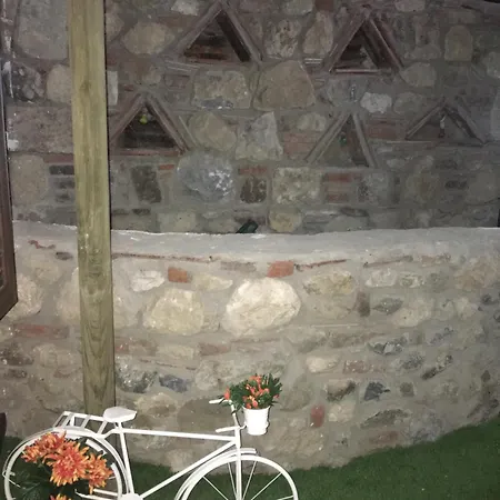 호텔 Nova Citrus 2*