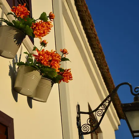 호텔 Nova Citrus 2*