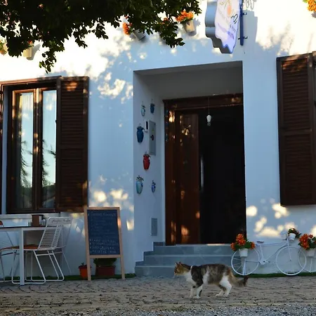 Nova Citrus Siğacık