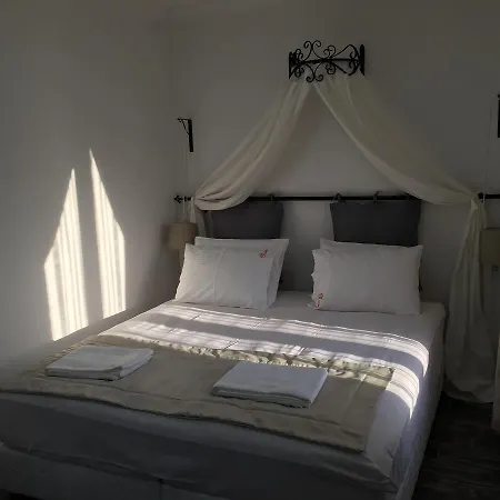 호텔 Nova Citrus 2*